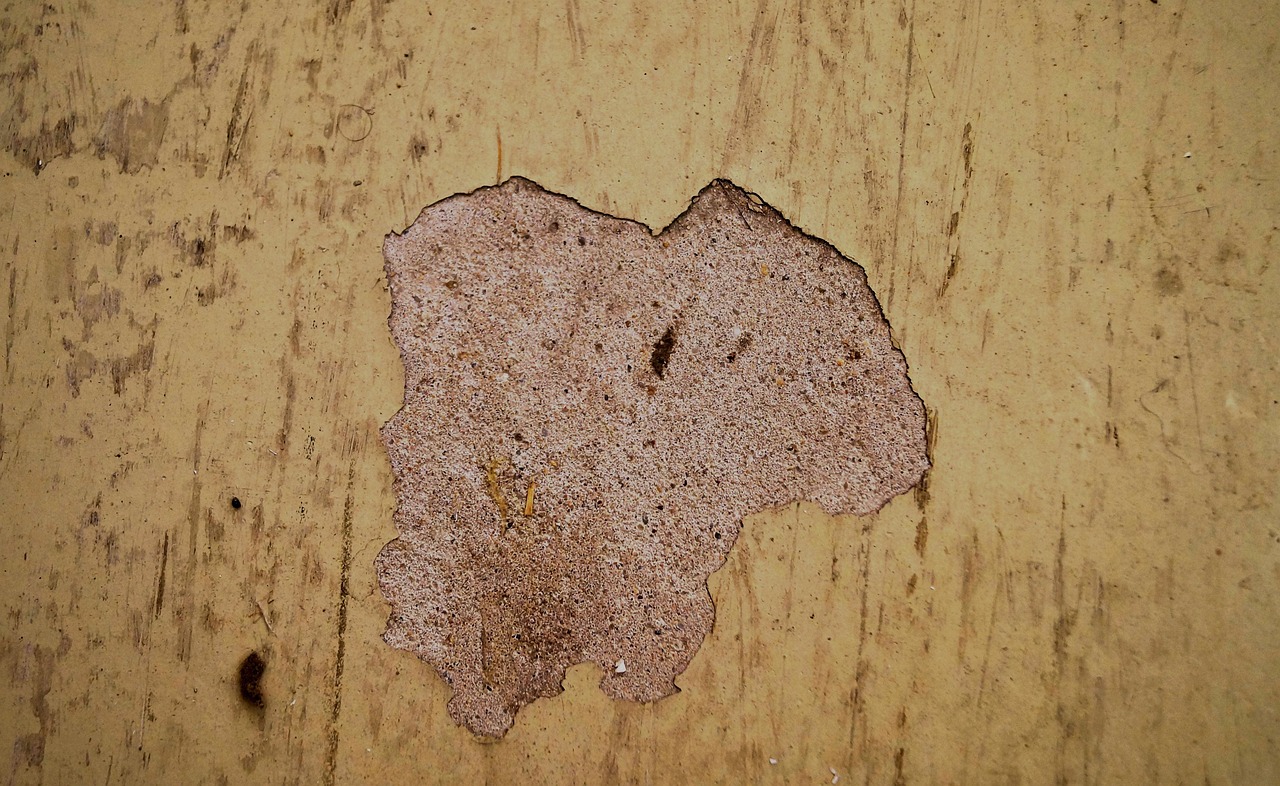 Peinture au plomb : risques, réglementation et prévention